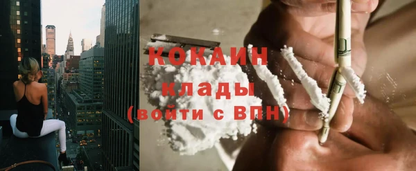 сатива Заводоуковск