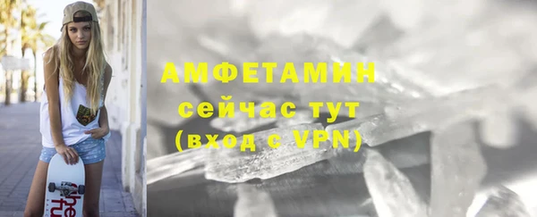 сатива Заводоуковск