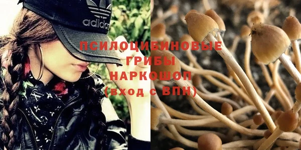 амф Зерноград