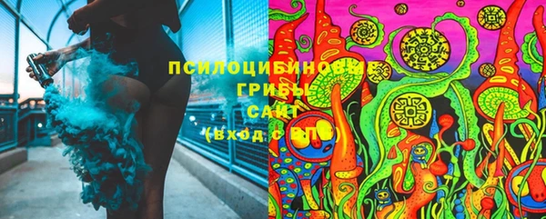 мдпв Зеленодольск